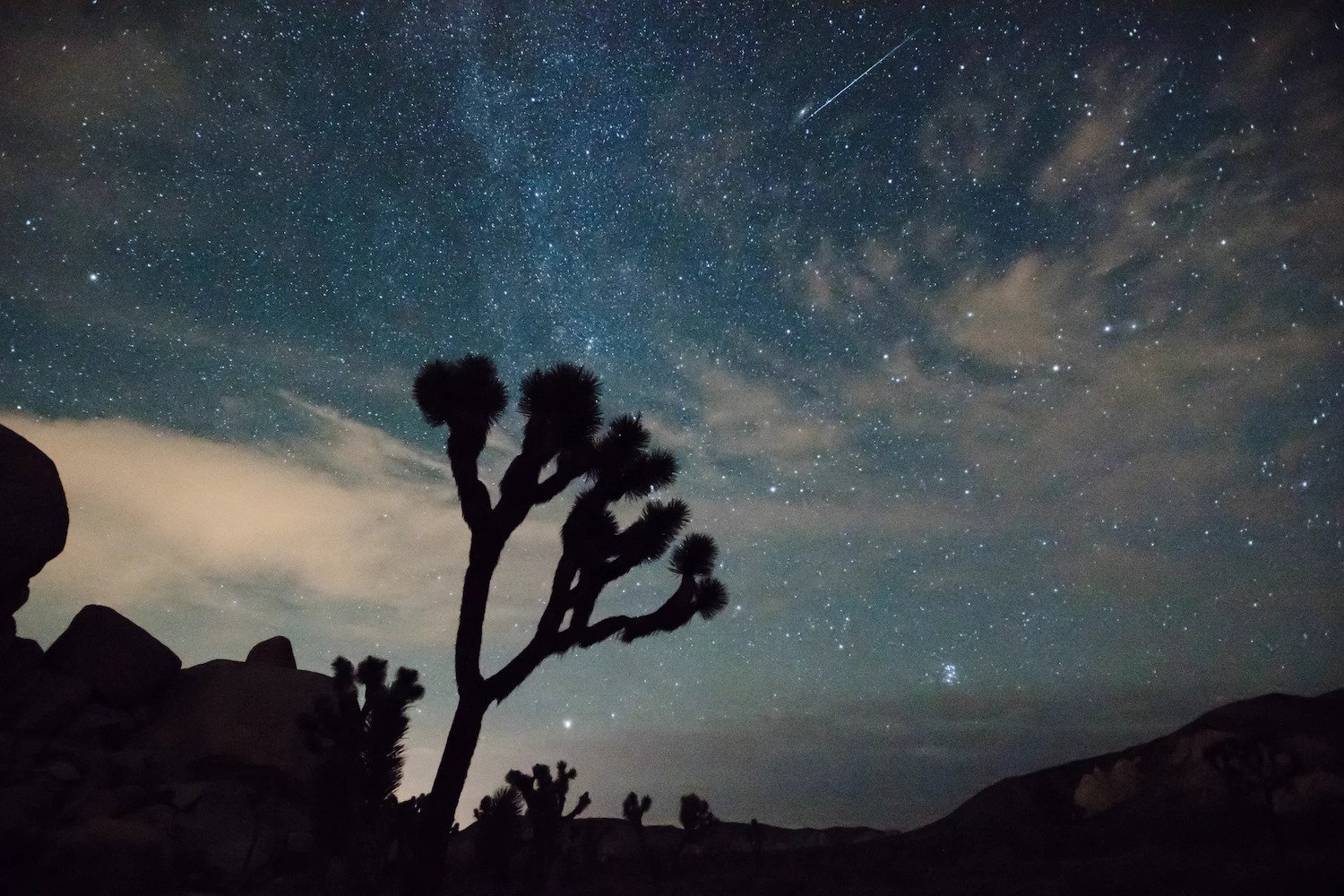 How to Watch One of the Most Dazzling Meteor Showers of the Year